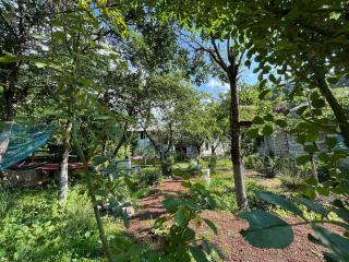 Rossi Rest House - Dilijan - 6