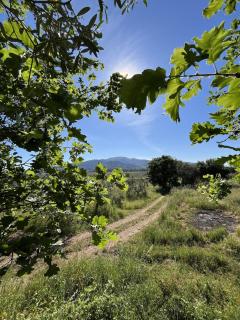 Fienile La Quiete, Tuscany Design Loft - 4