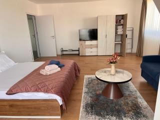 The West Wing Apartments private parking and two balconies - Ohrid - 8