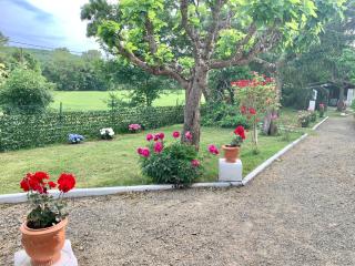 Domaine du cheval d argent - 5