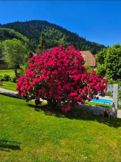Haus Hees - Urlaub im Gletscherkessel Präg - 4