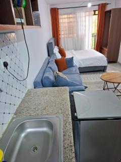 Cozy Studio bnb in Kasarani Seasons, Nairobi - 5