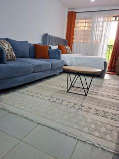 Affordable Studio Apartment Kasarani, Seasons Road - 4