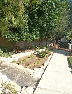 Little paradise - 5