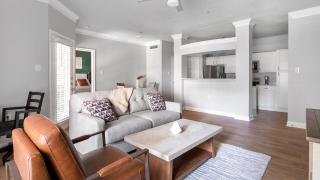 Landing Incredible 1BD Clubhouse - 8