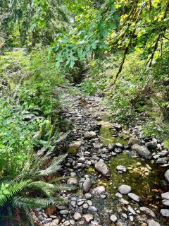 Nature Getaway Timber Eagle Escape Located on AMAZING 160acres of Trails and Wilderness The Back 40 B&B in Shirley near Sooke-Jordan River - 3