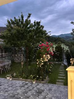 Green House - 6