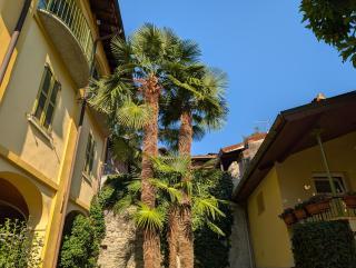 Rocha da Travalia - Loft & Lake in Castelveccana - 3