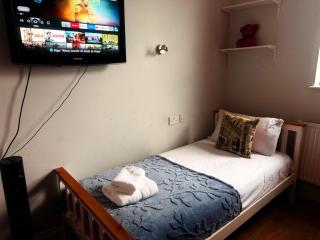 Comfort Flat Streatham - 7
