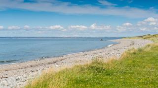 Beach Bungalow - 6