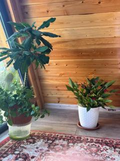 Bayaman Guest House - 7