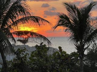 Bimini Bay Resort & Marina Parrot-dice! - 6
