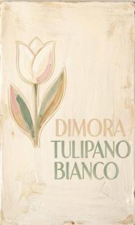 Dimora IL TULIPANO BIANCO - 0