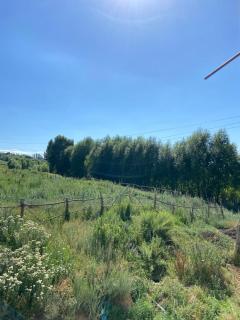 Panorama - 2