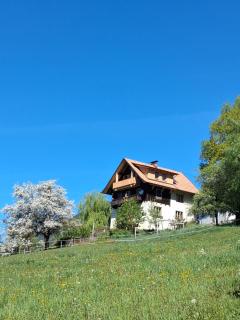 Ferienwohnung Goldblick - 7