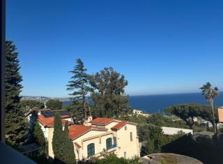 Sunny Gardens - 6