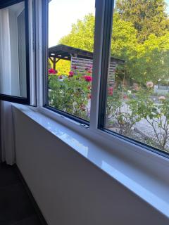 Ferienwohnung am Brasselsberg mit Parkplatz - 4