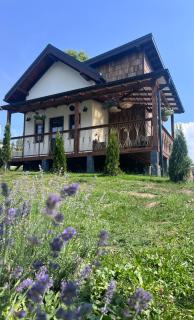 Villa Pelahia - 7