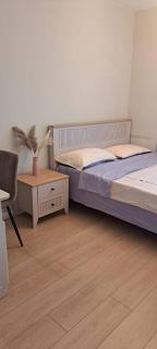 apartment Imperial business class on Frunze 300/3 - 7