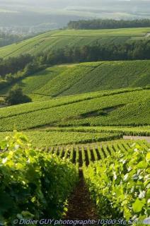 Le Comptoir du Relais - Beine - 7