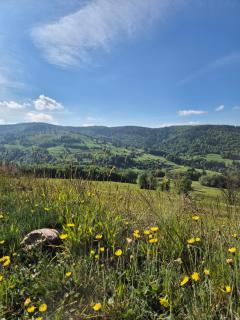 Au Calme Des Vosges - 2
