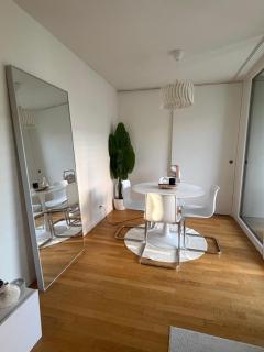 Modern apartment in Basel, 10 minutes from Messeplatz - 5