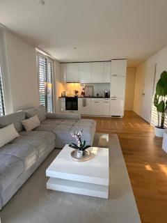 Modern apartment in Basel, 10 minutes from Messeplatz - 3