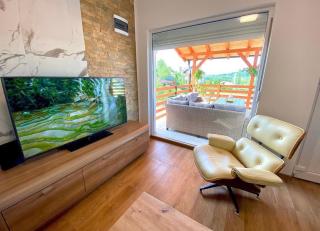 Stefan Panorama Spa Apartmani - Banja Vrujci - 6
