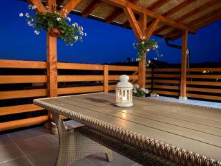 Stefan Panorama Spa Apartmani - Banja Vrujci - 5