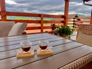 Stefan Panorama Spa Apartmani - Banja Vrujci - 1