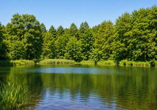 TheLittleHouse-By-The-Lake - 0