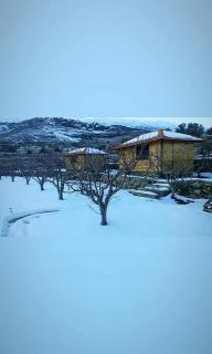 Saghbine bungalows - 4