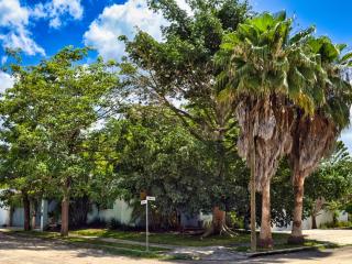 Casa Azul - 5