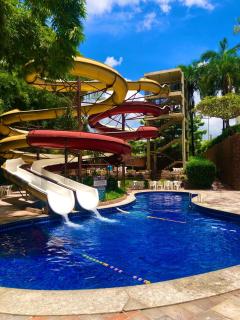 Suite Golden Dolphin - 6