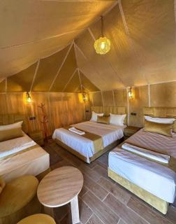 Merzouga Oasis luxury camp - 4