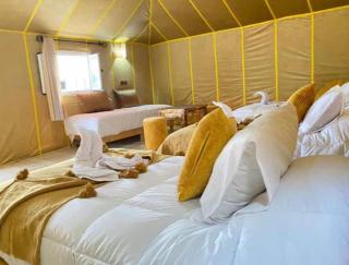 Merzouga Oasis luxury camp - 6