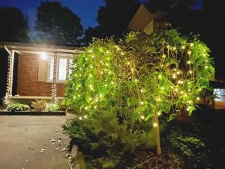2Bedroom Guest Suite near Western 4beds Sleep 7Person Free Parking - 1