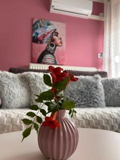 Spirit Apartman - Zalakaros - 3