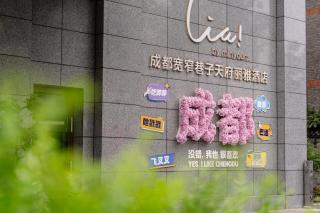 成都宽窄巷子天府丽雅酒店 - 9