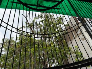 Radha Madhav Homestay Near Bake Bihari Mandir - 1