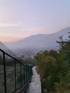 Den hostel - 5