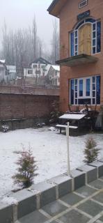 Den hostel - 1