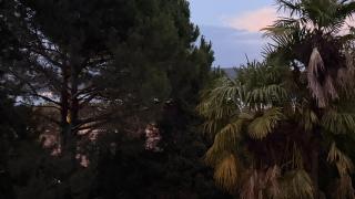 ECO - Villa Giulia - 1