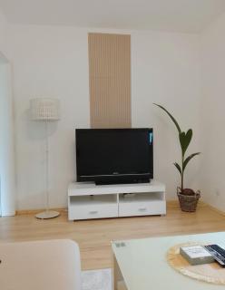 Gemütliche & ruhige Wohnung im Grünen - 1