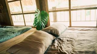 Nhà Gò Gạo Homestay - 1