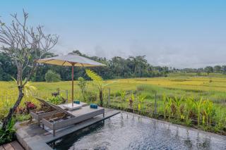 Aranya Ubud Villa - 3