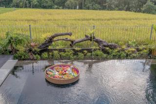 Aranya Ubud Villa - 4