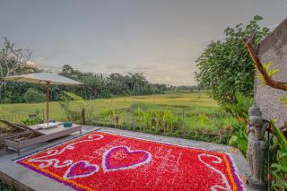 Aranya Ubud Villa - 1