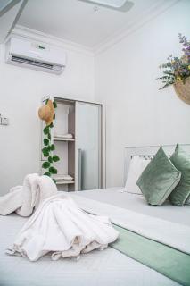 Mbuyu Taifa Greenview Mlandege Apartment - 3