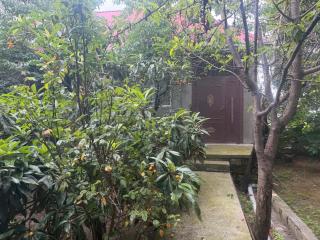 Cozy house - 1